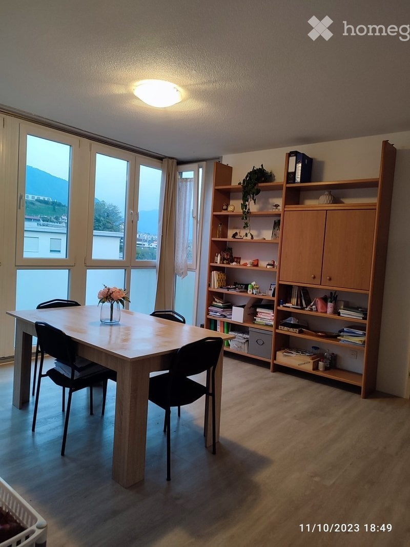 3 ½ pièces appartement (5)