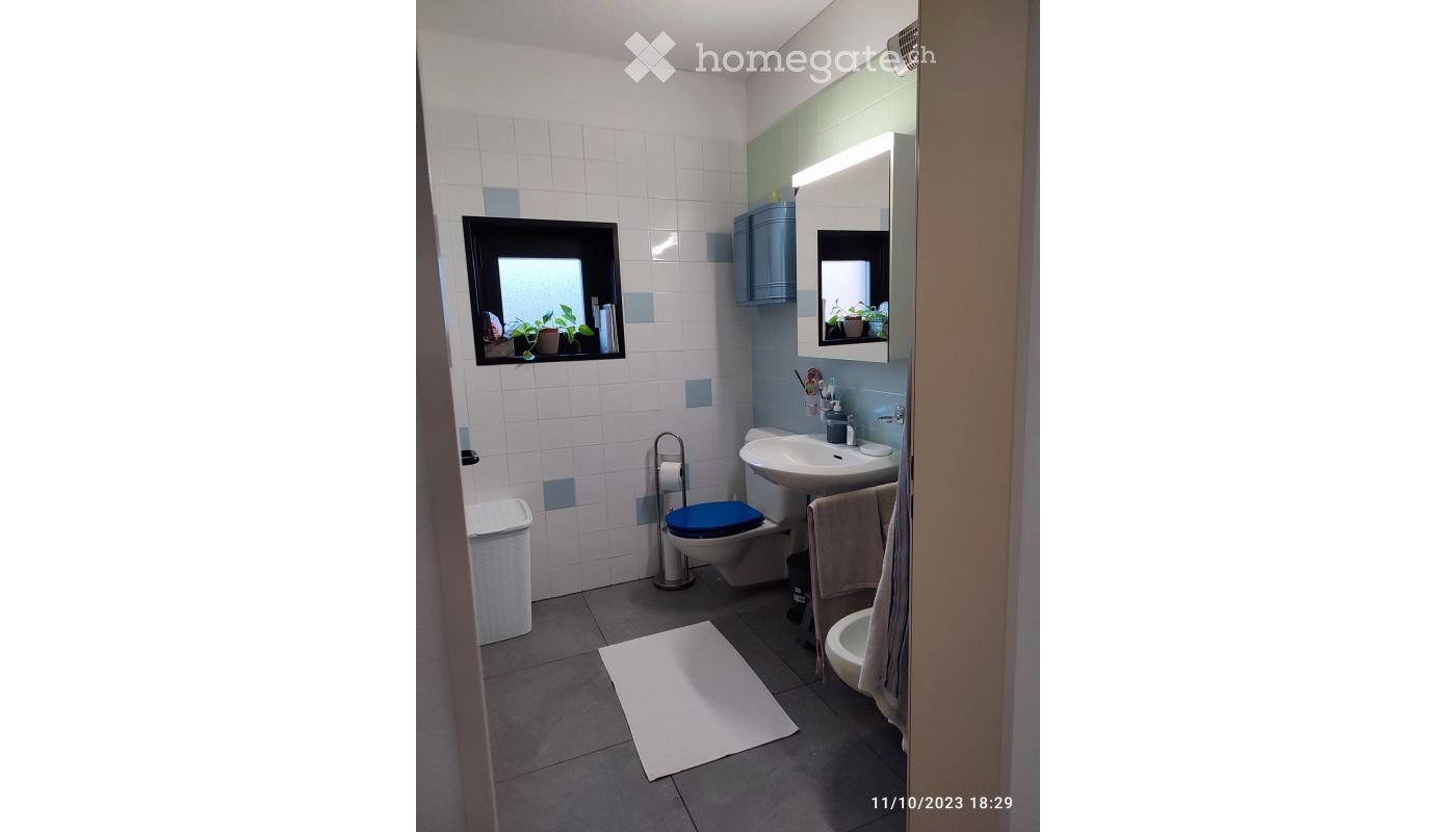3 ½ pièces appartement (4)