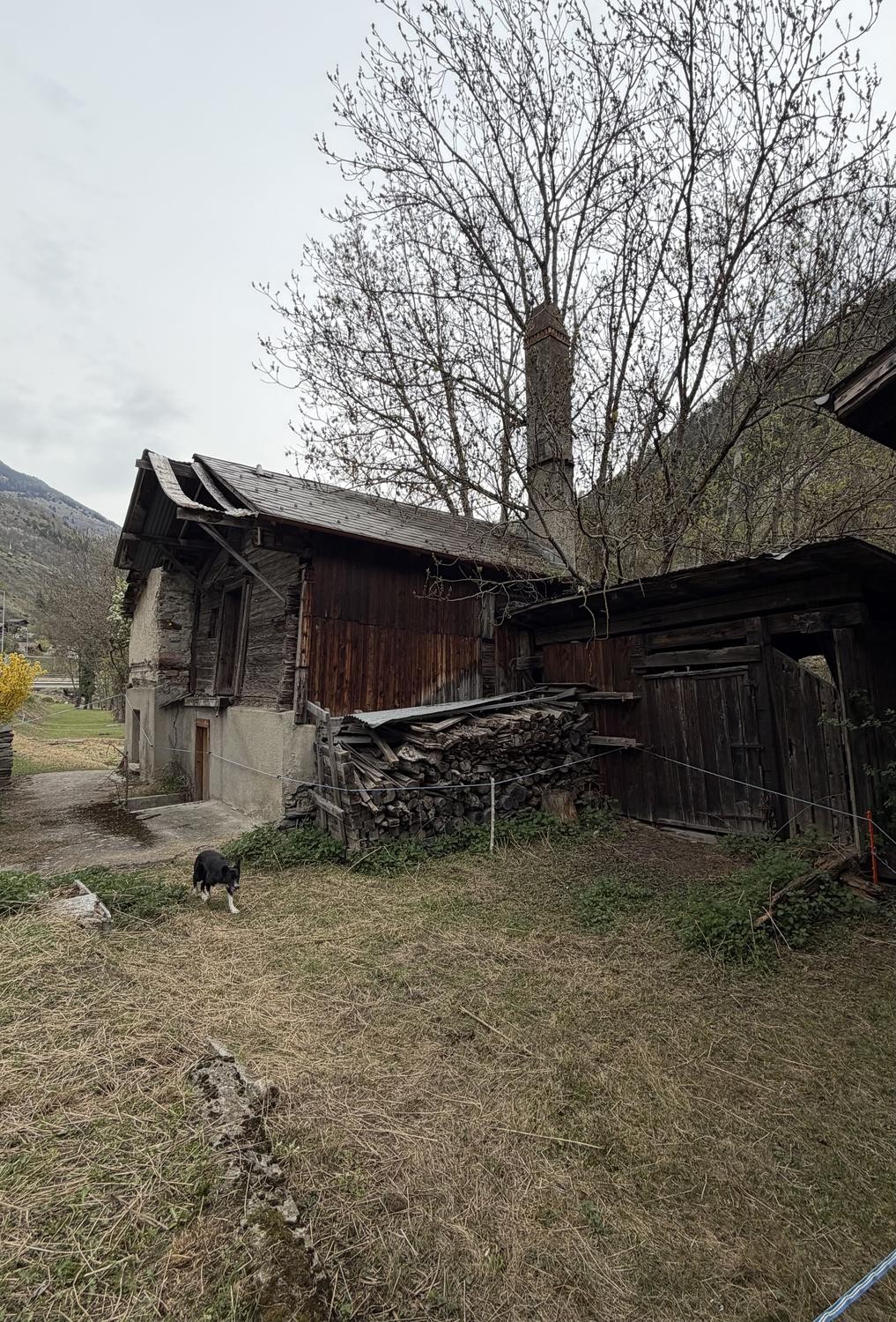 6 pièces maison individuelle