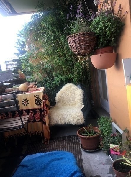 2 ½ rooms furnished flat, photo 8 of 10