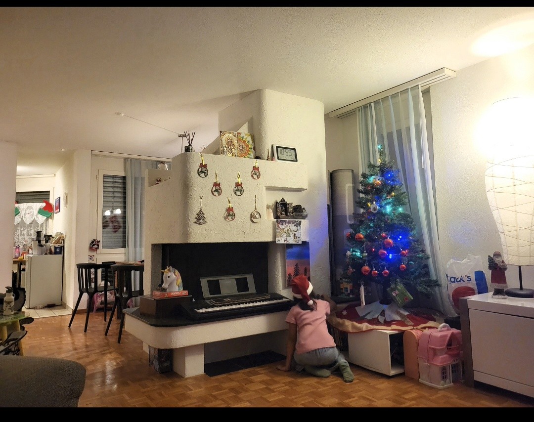 4 ½ rooms apartment, photo 4 of 10
