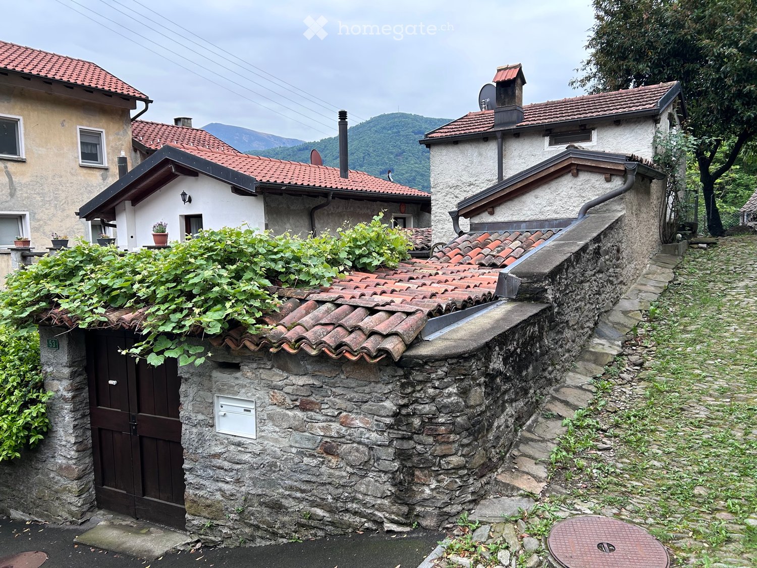 1 rooms single house