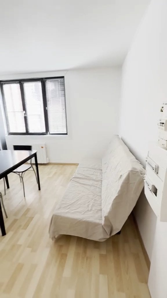 1 room apartment, photo 3 of 3