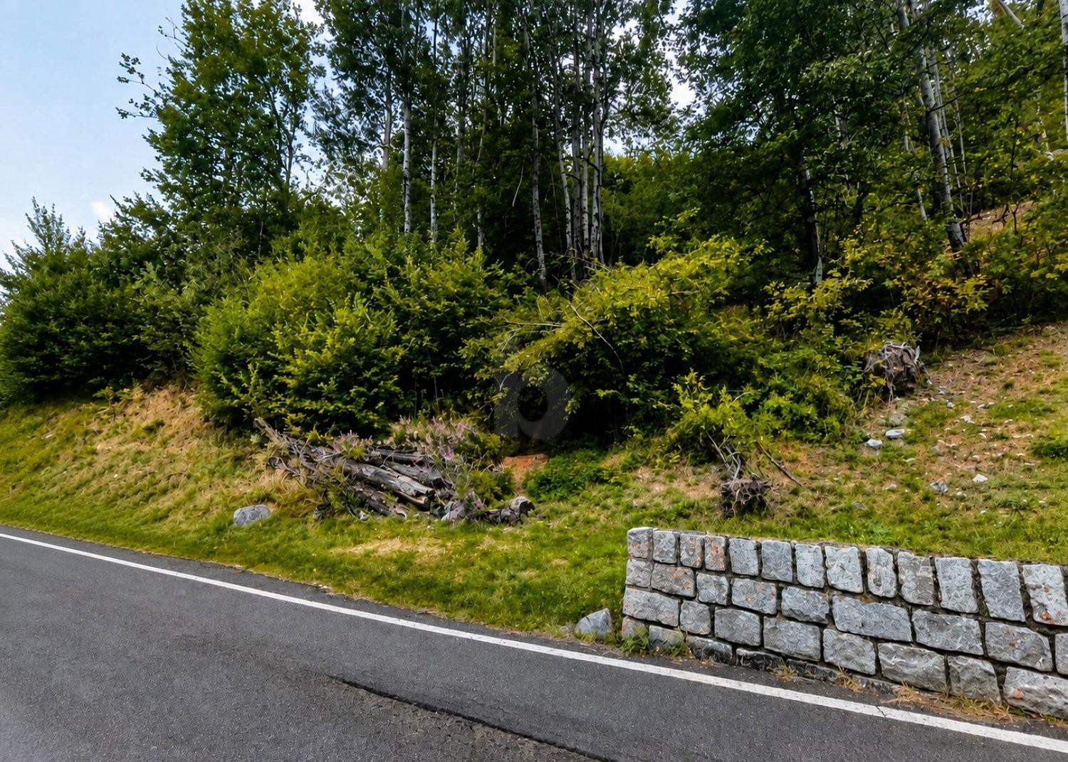 1091m² building land, photo 1 of 2