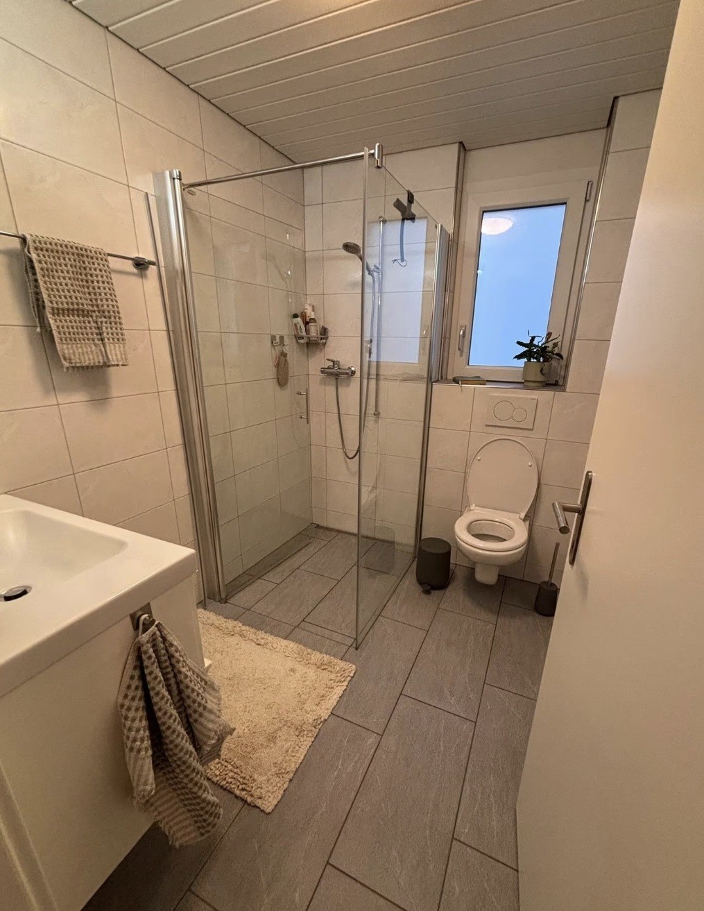 4 ½ rooms apartment