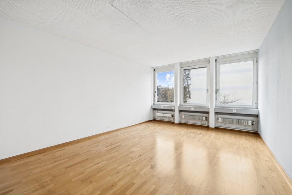 161m² practice, photo 3 of 10