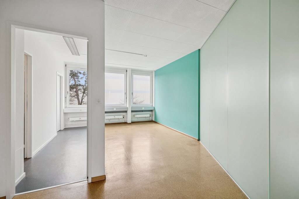 161m² practice, photo 8 of 10