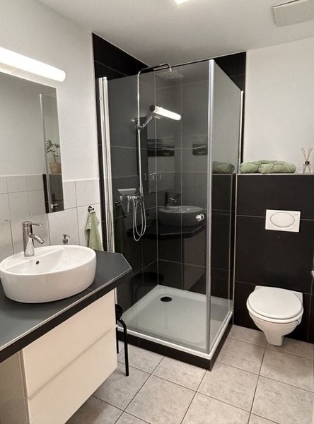 Appartement meublé de 1 ½ pièces