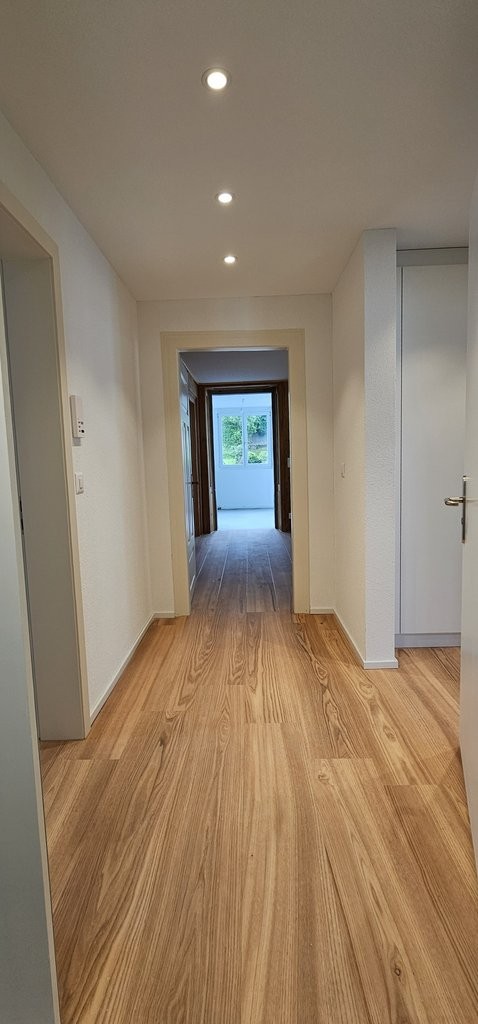 4 ½ rooms apartment (10)