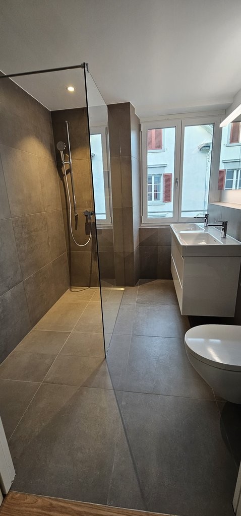 4 ½ rooms apartment (5)