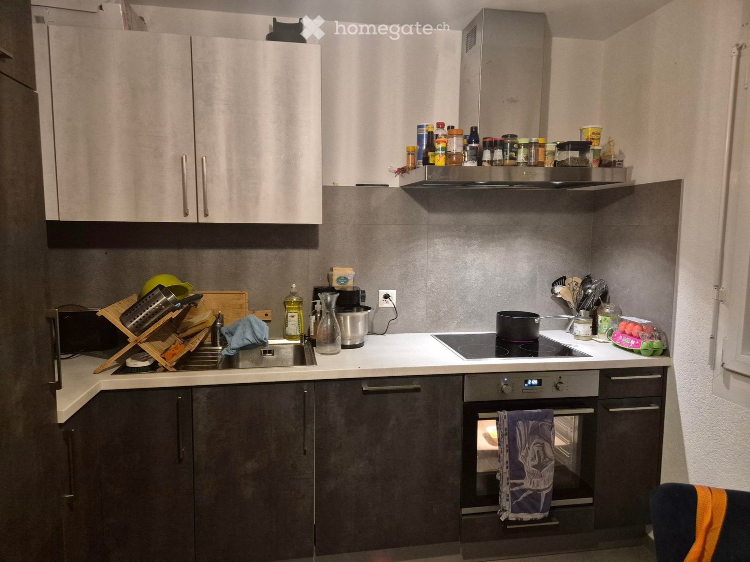 2 rooms apartment, photo 3 sur 4