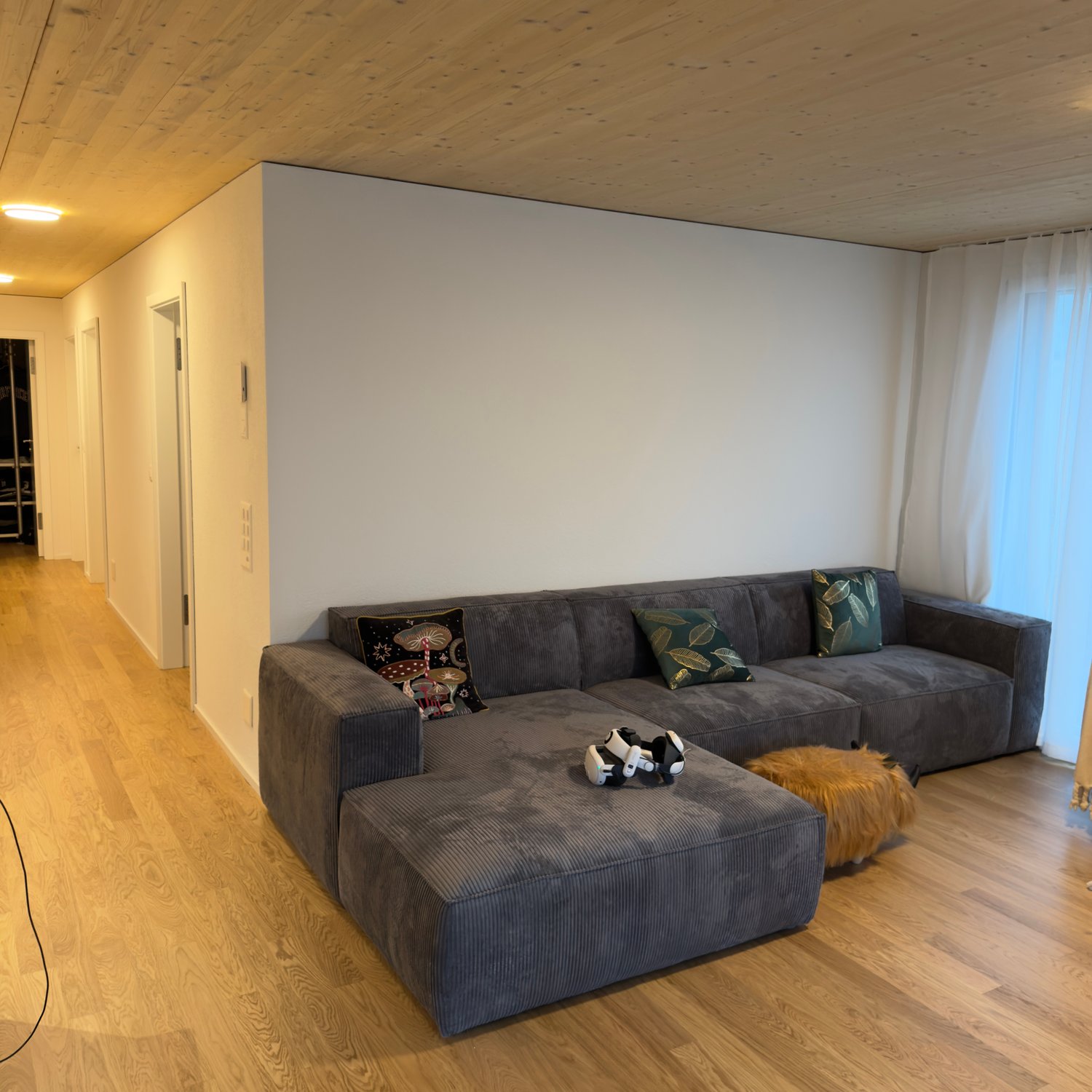 Room in a shared flat