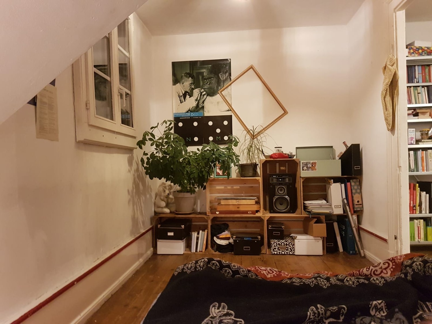 Chambre dans une colocation