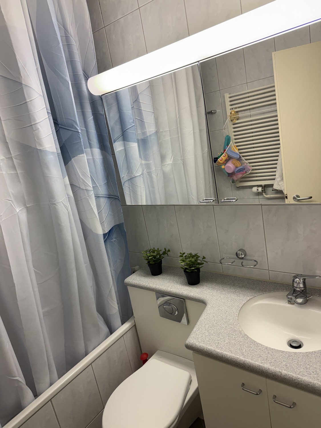 Appartamento di 2 ½ locali