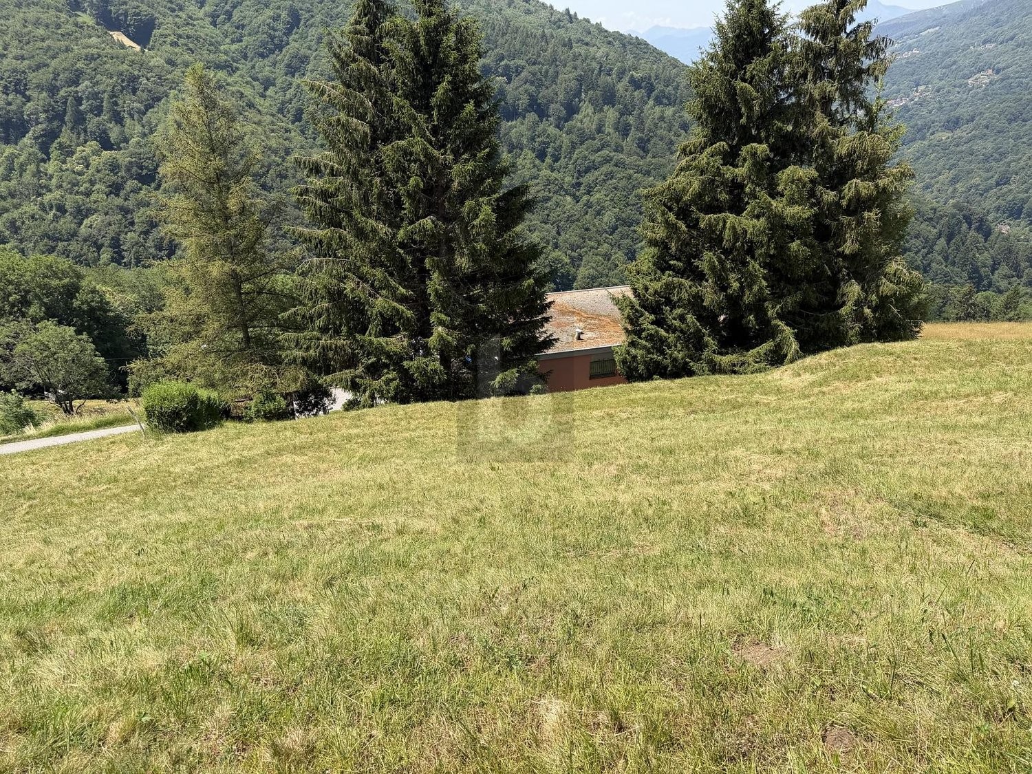 1205m² building land, photo 4 of 4