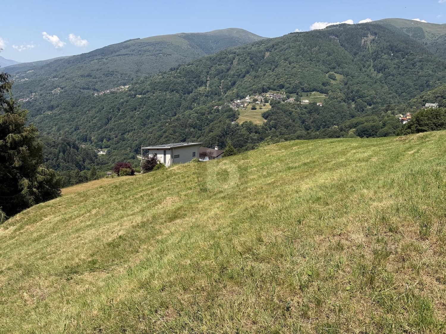 1205m² building land, photo 3 of 4