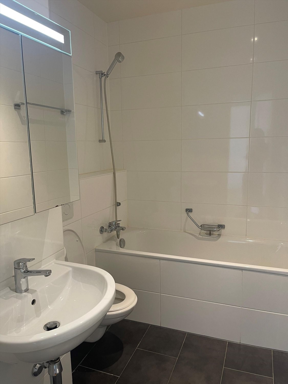 1 rooms apartment