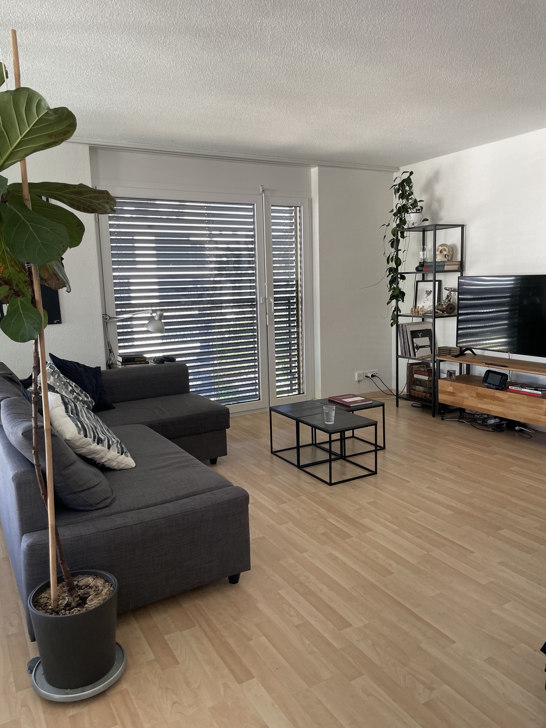 3 ½ rooms apartment, photo 4 of 8
