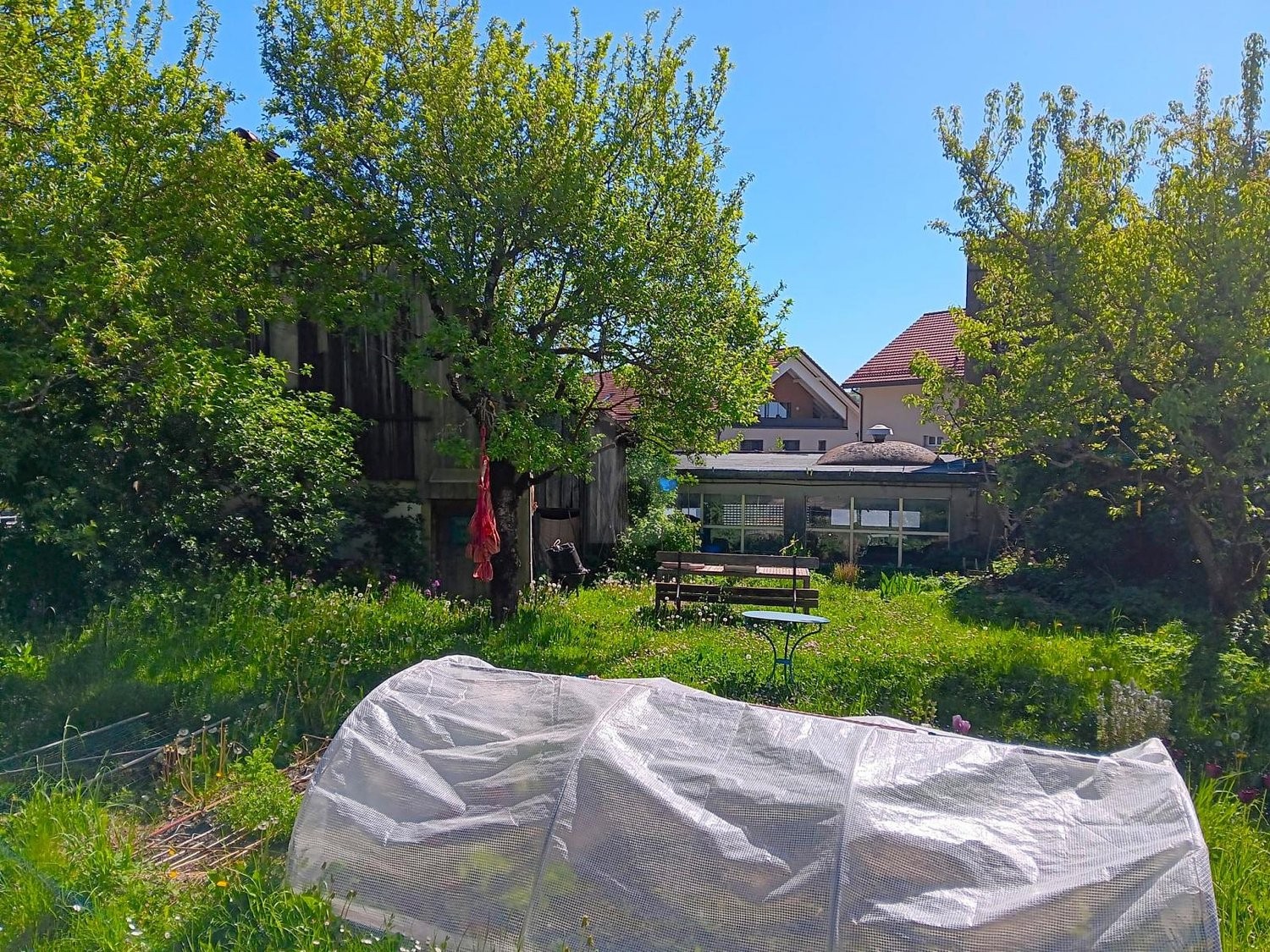 410m² building land, photo 4 of 4