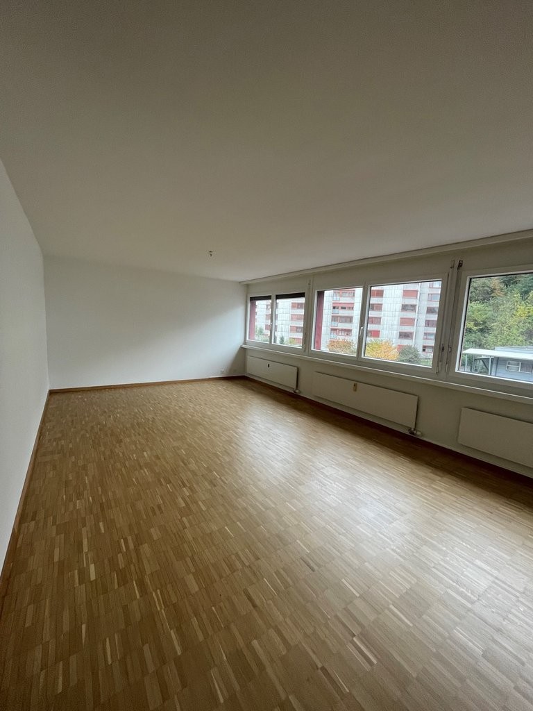 4 ½ rooms apartment (3)