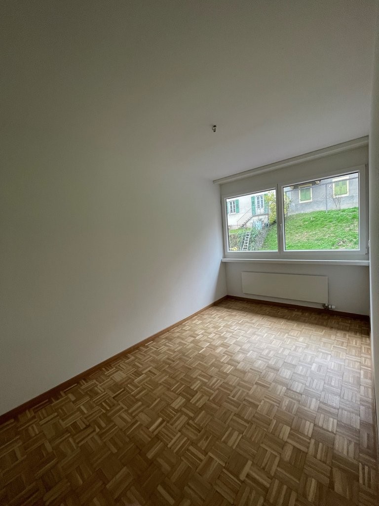 4 ½ rooms apartment (5)