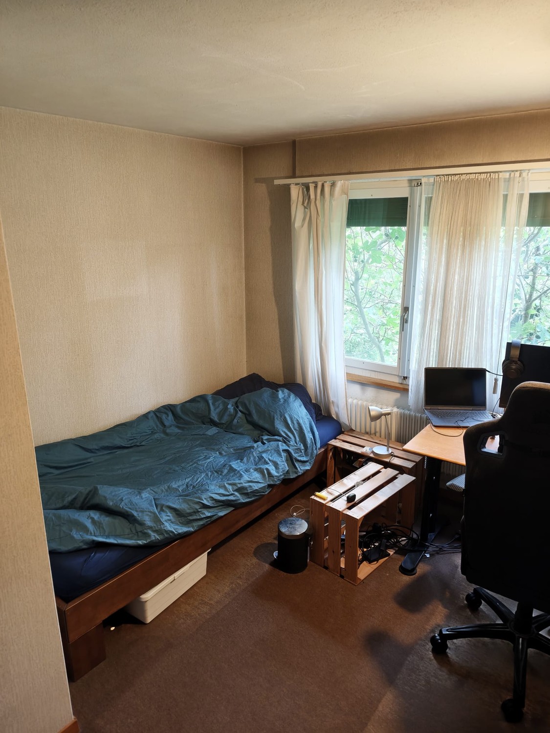 Chambre dans une colocation