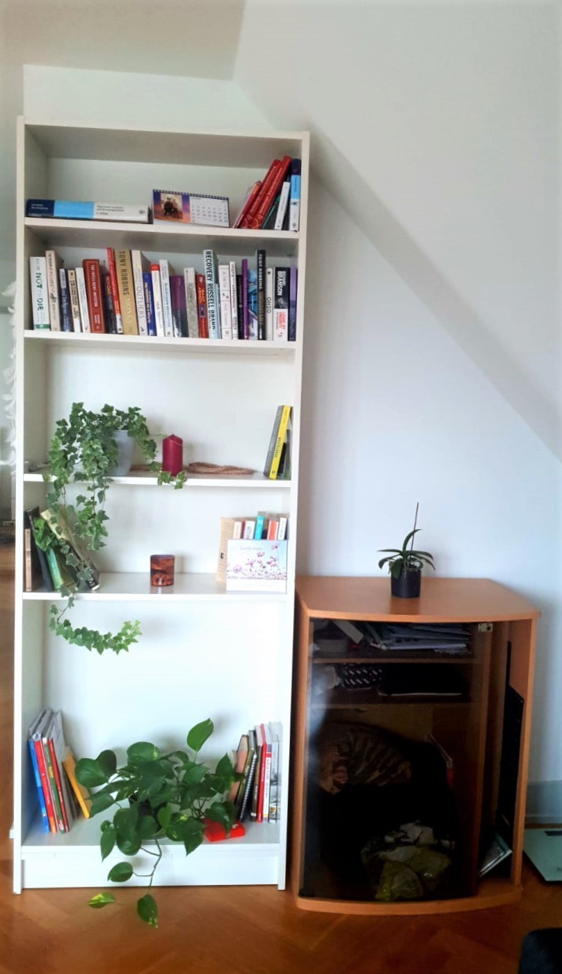 2 ½ rooms apartment, photo 4 of 8
