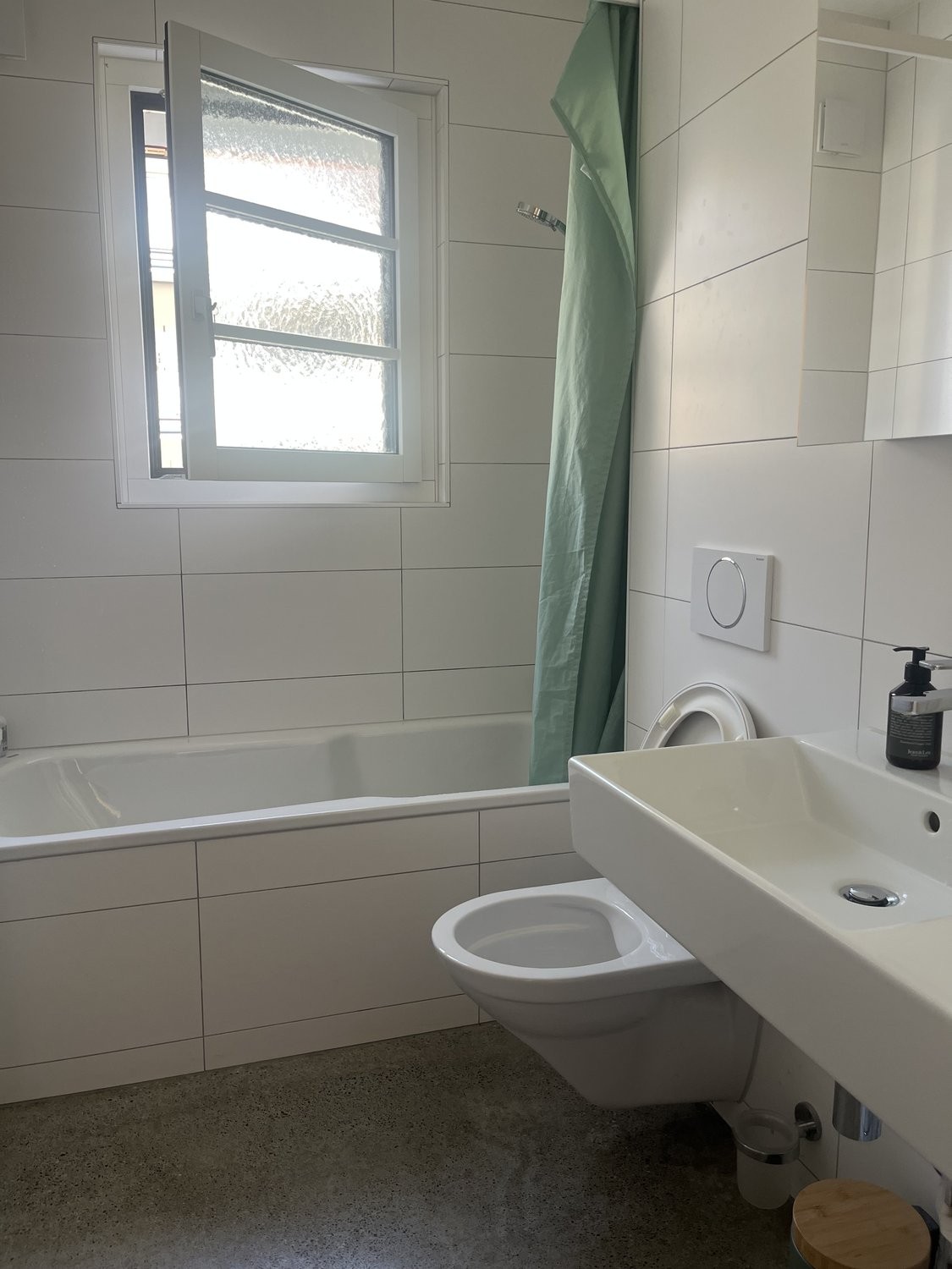2 ½ rooms furnished flat, photo 8 of 8