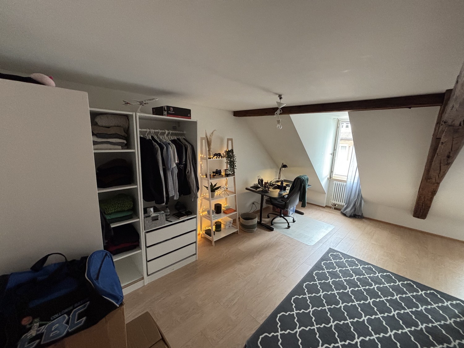 Room in a shared flat