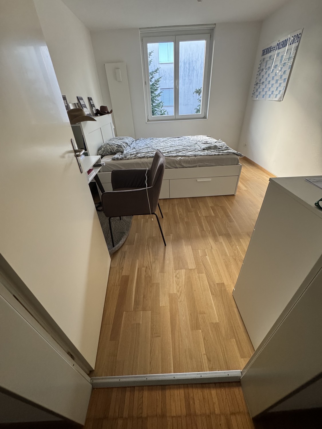 Room in a shared flat