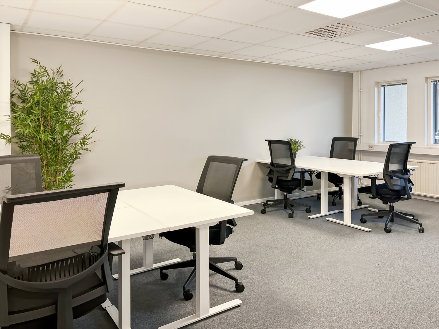 150m² ufficio