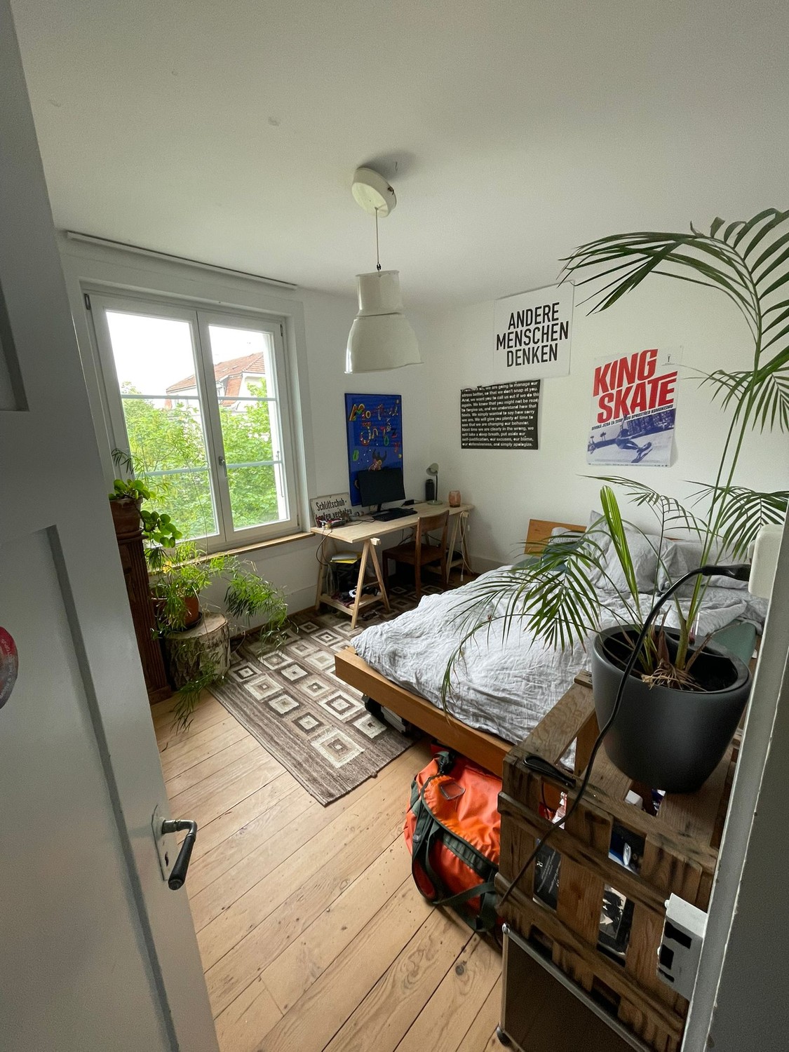 Room in a shared flat