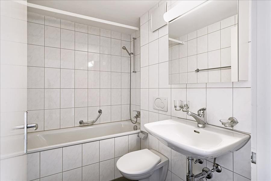 3 ½ rooms apartment (5)