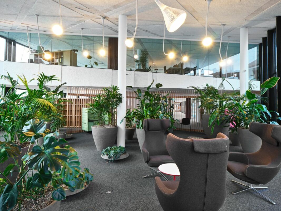 1280m² office, photo 4 of 10