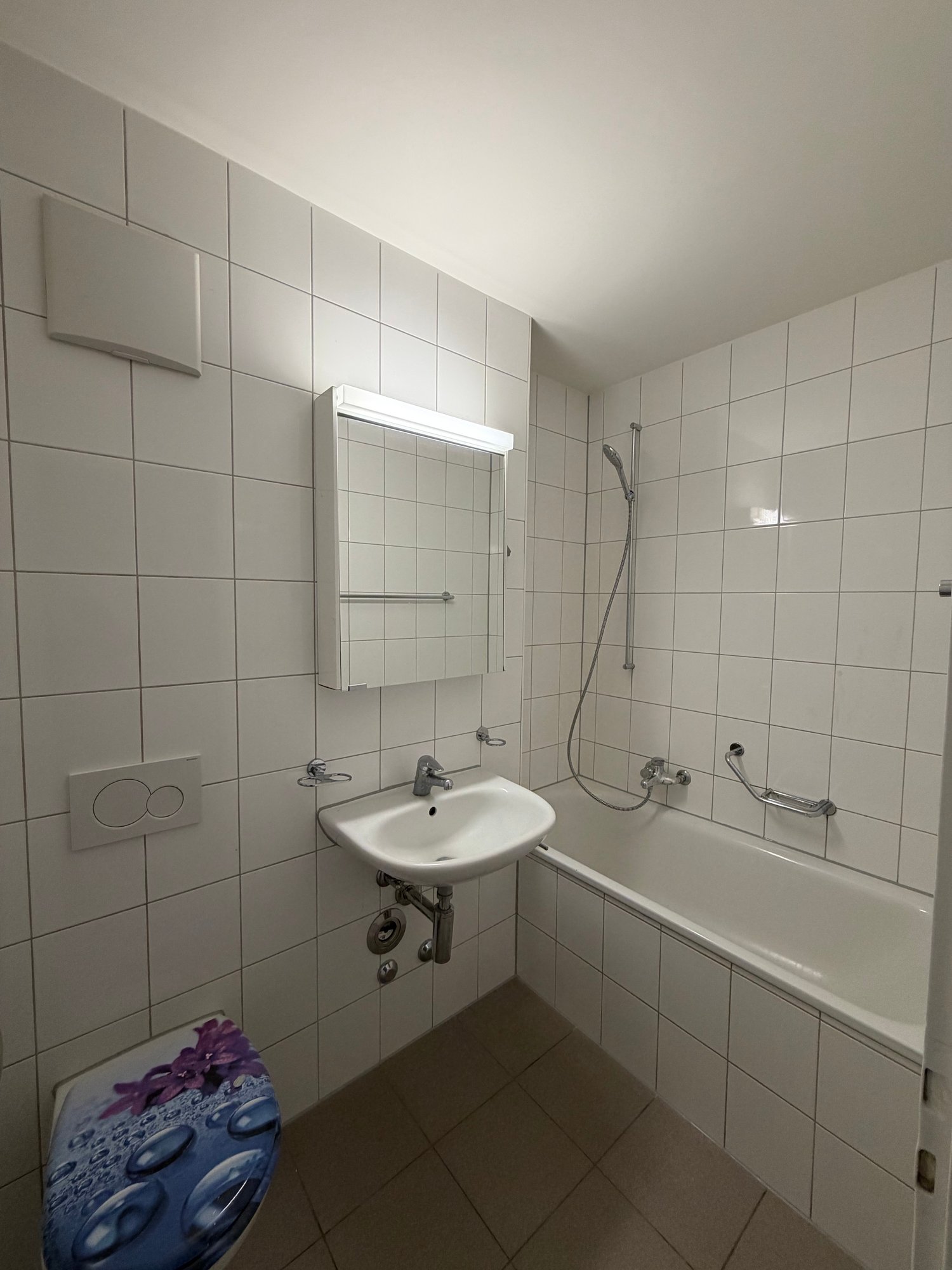 3 rooms apartment (3)