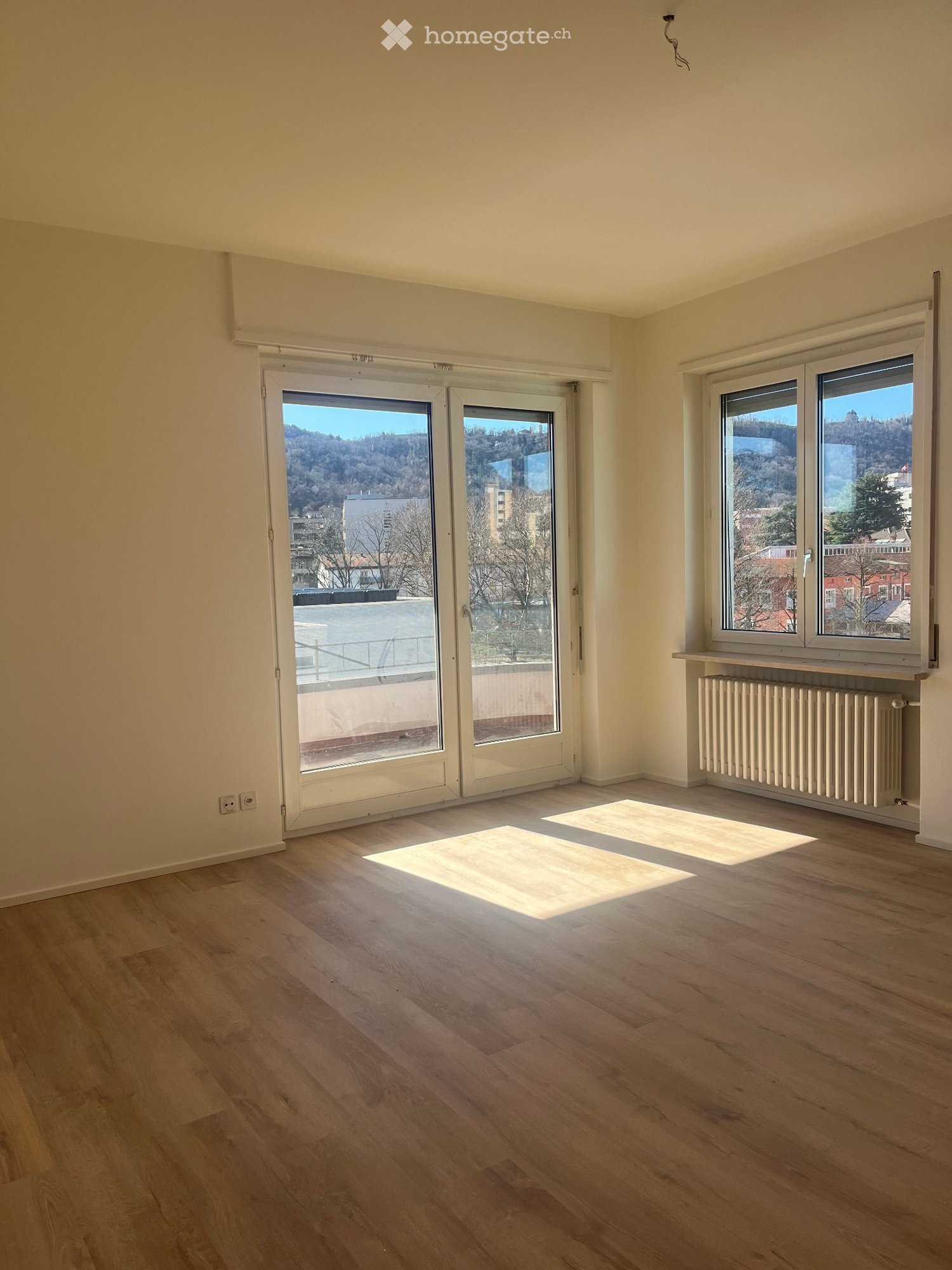 4 ½ rooms apartment