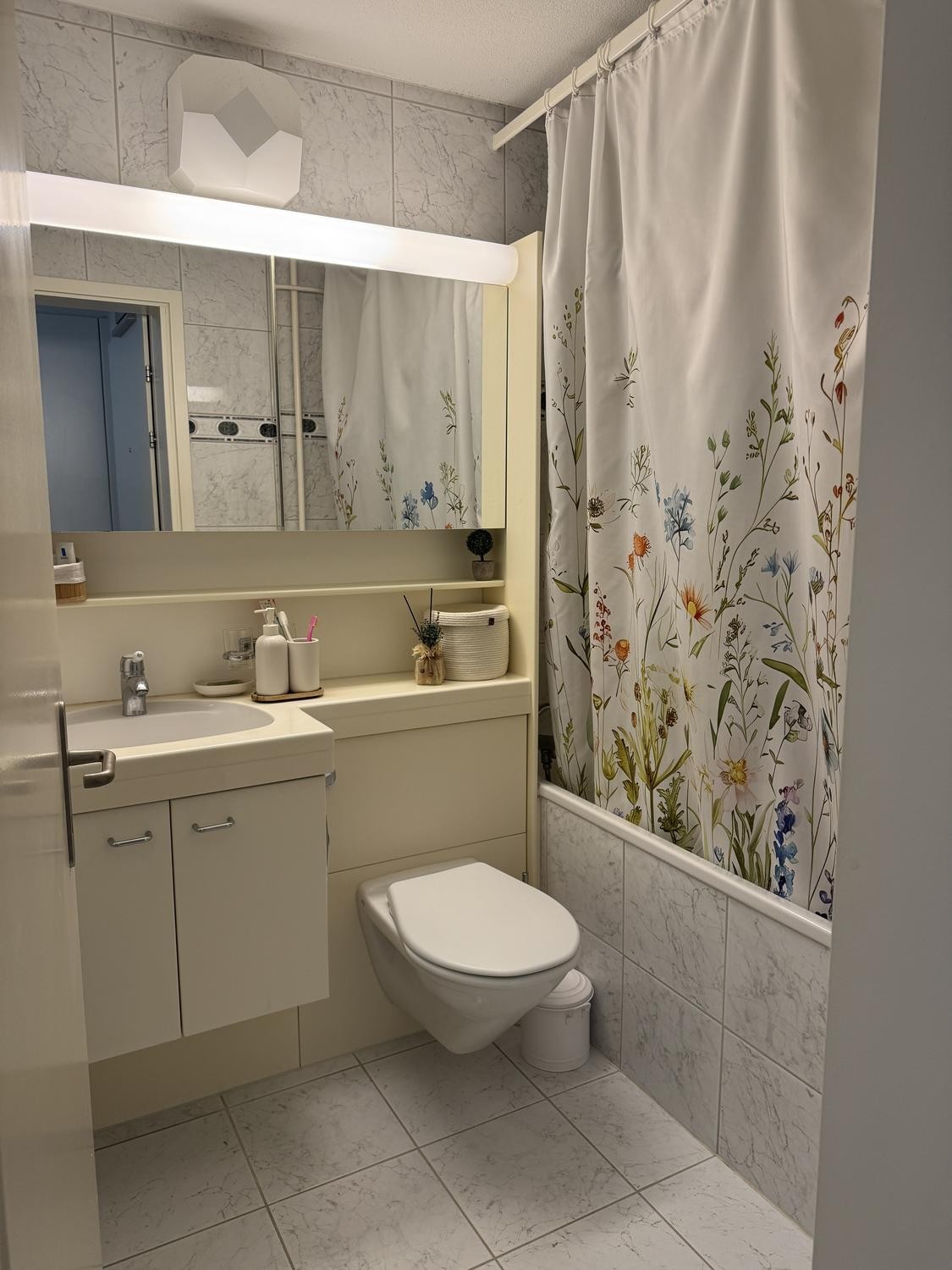 2 ½ rooms apartment
