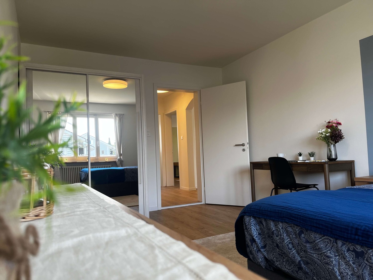 Room in a shared flat