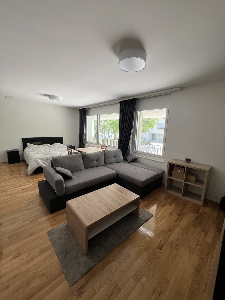 1 room apartment