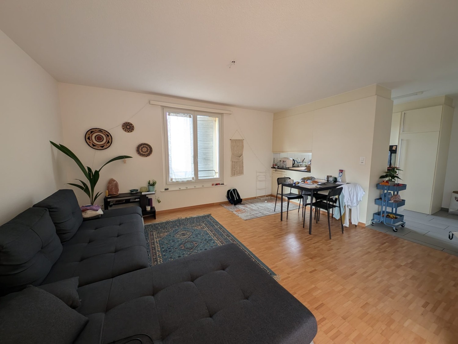Room in a shared flat