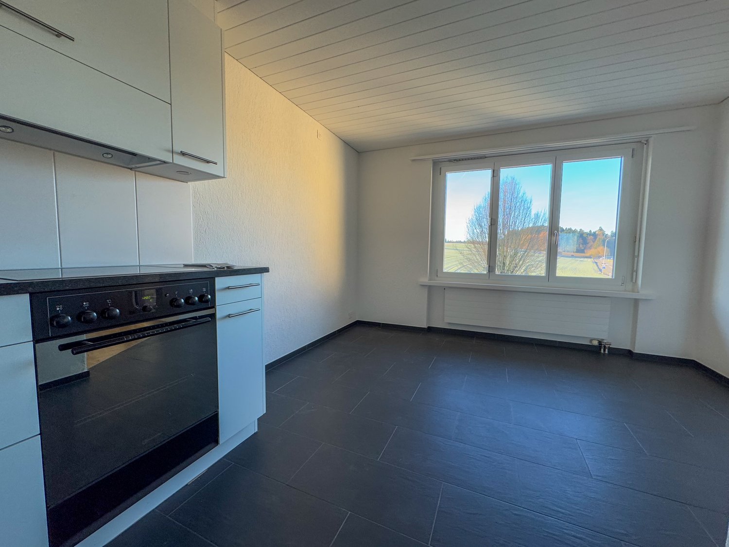 4 ½ pièces appartement