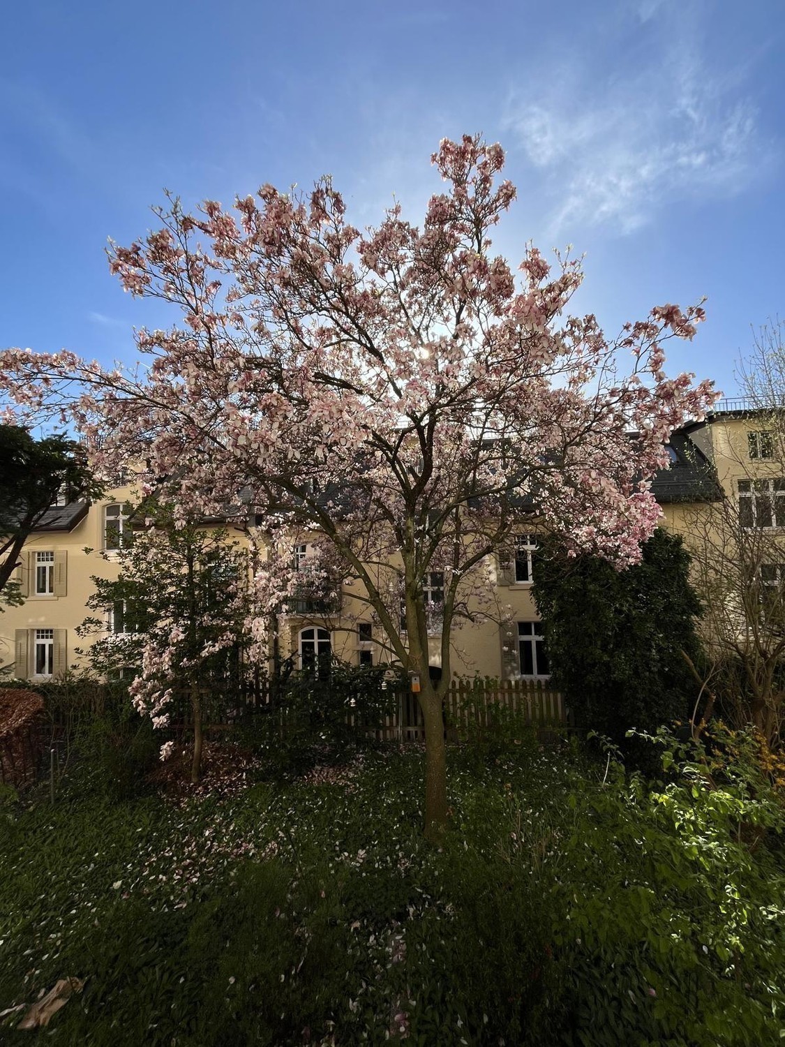 Zimmer in einer WG