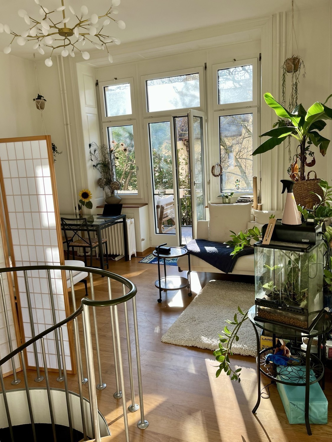 Zimmer in einer WG