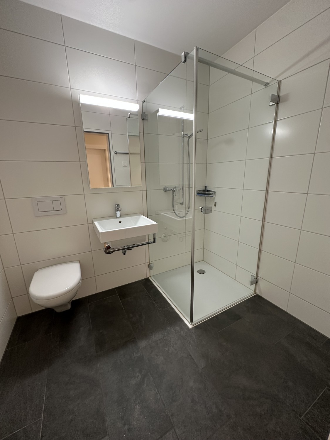 5 ½ rooms apartment