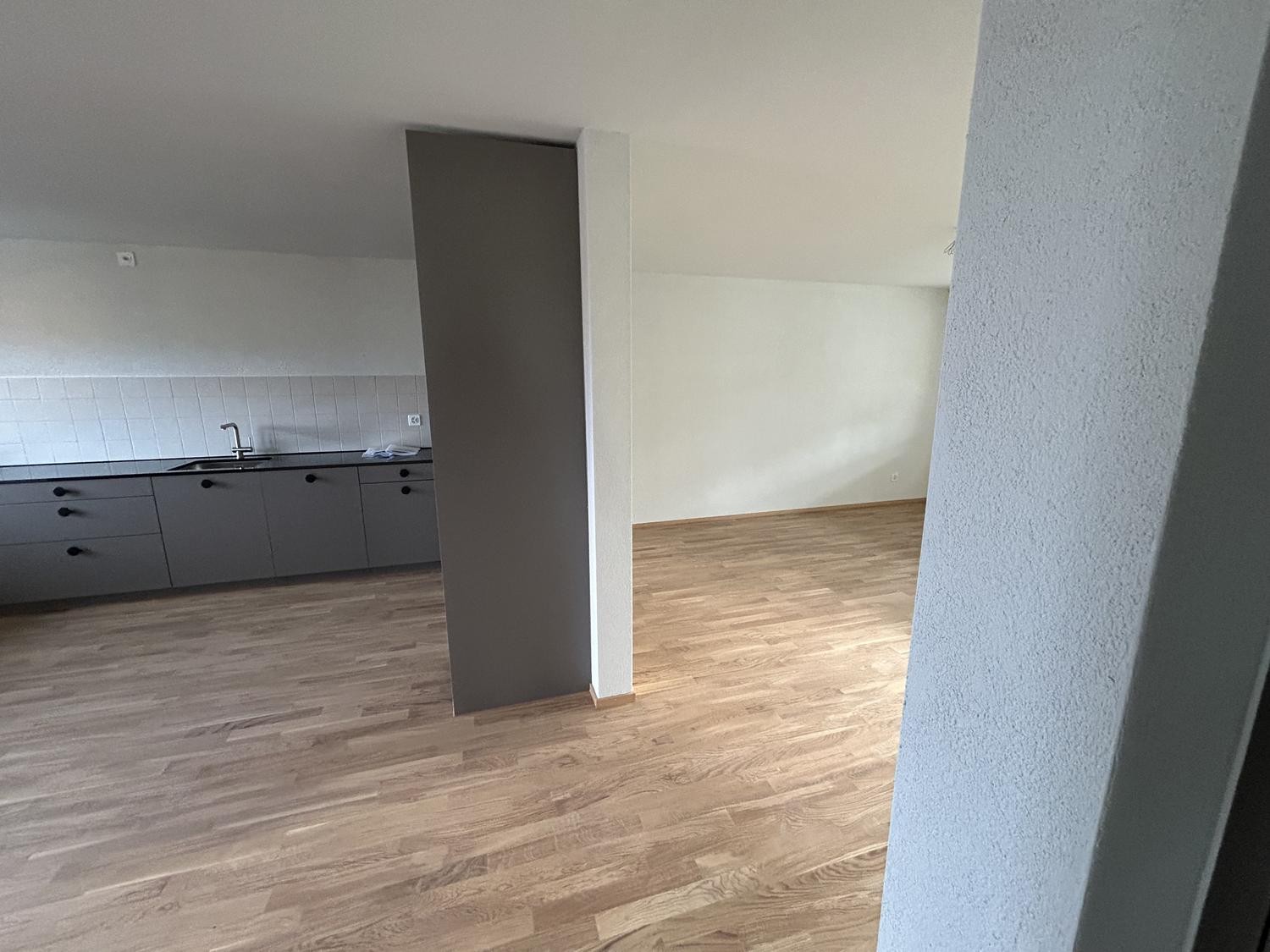 3 ½ Zimmer Wohnung