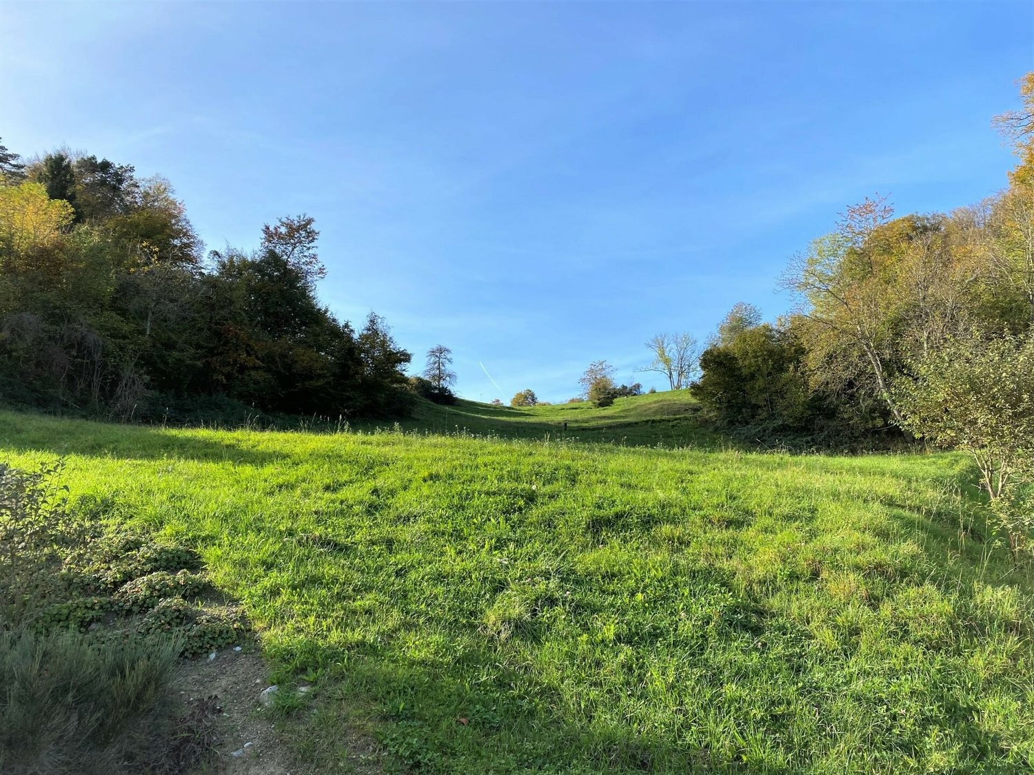 1958m² terrain à bâtir