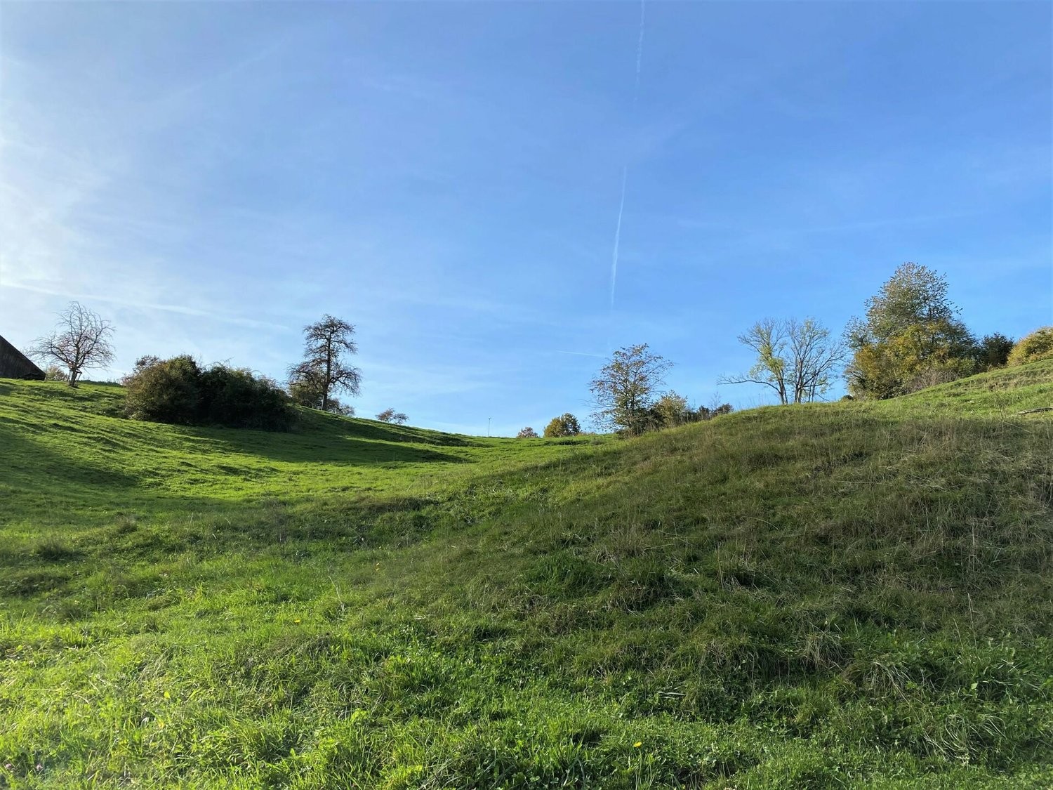 1958m² terrain à bâtir