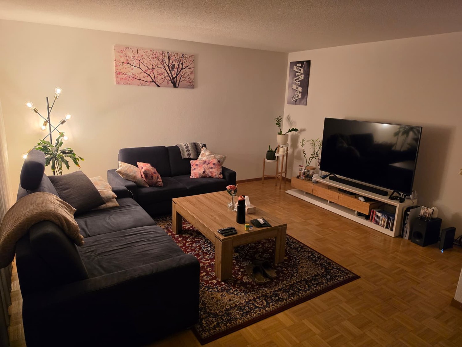 3 ½ room apartment