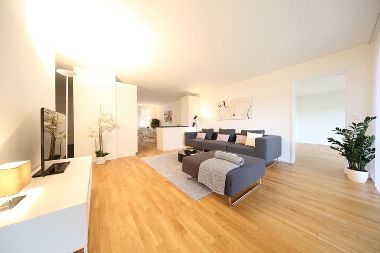 3 ½ pièces appartement