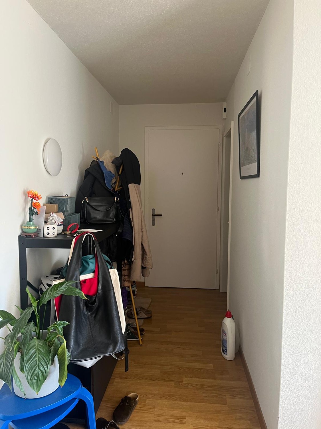 Appartamento di 4 ½ locali